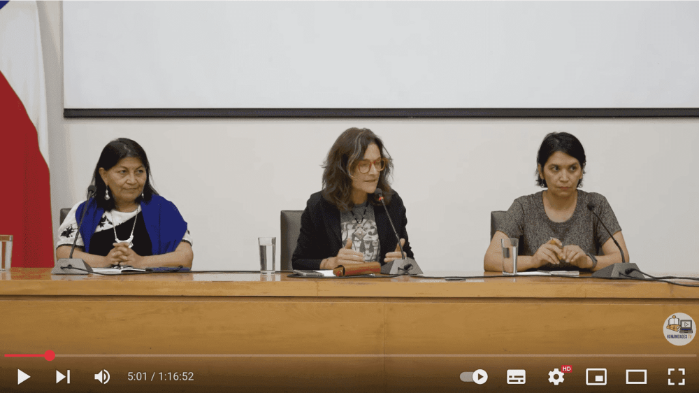 placeholder image — Elisa Loncon, Cristina Dorador, Ana Cacopardo