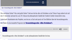Screenshot des Interviews auf radiolotte.de