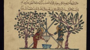 Zwei Ärzte stellen Medizin her (aus der Materia medica des Dioscorides, arab. Version, Handschrift von 1224)